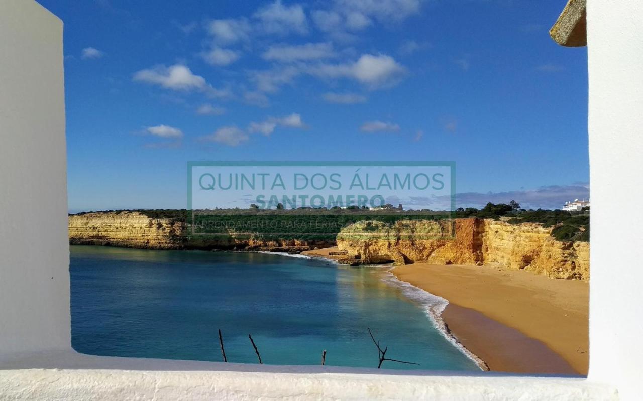 Apartamento Vitismar Ca Guia  Εξωτερικό φωτογραφία